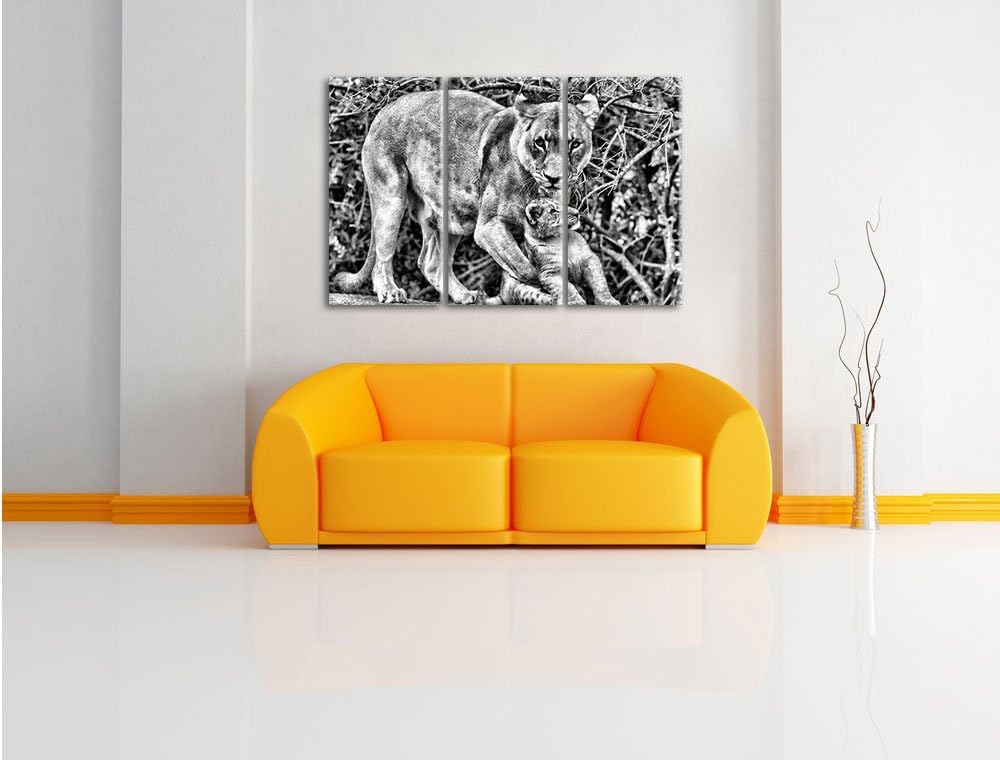 Pixxprint Monocrome, Löwin spielt mit Jungtier 3-Teiler Leinwandbild 120x80 Bild auf Leinwand