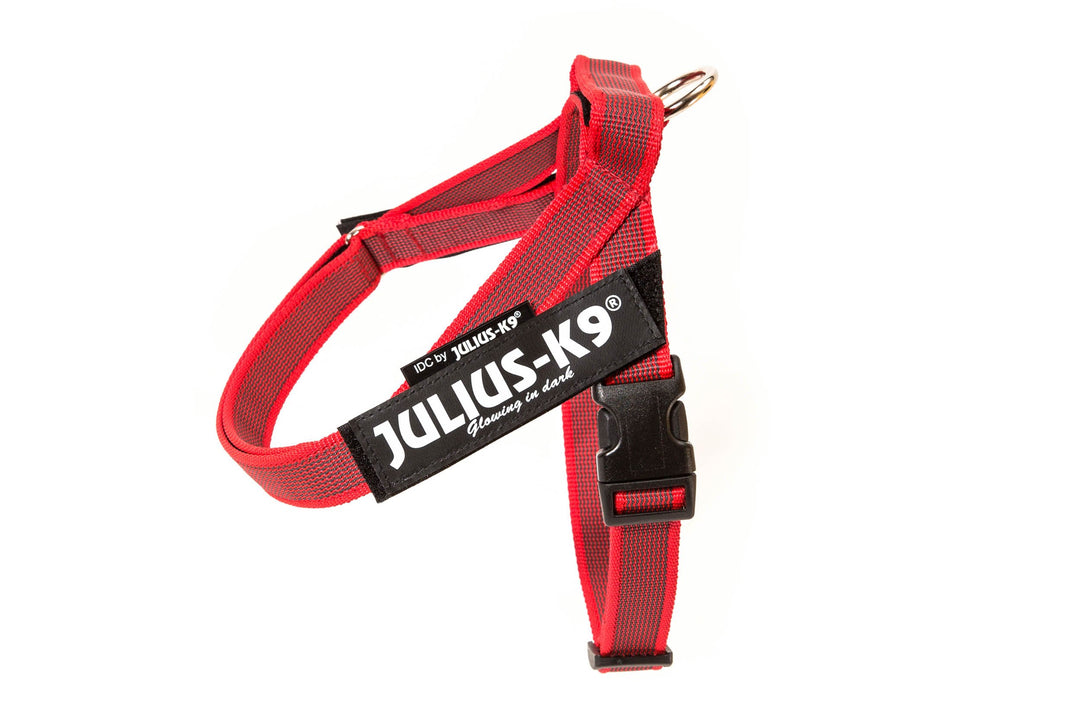 Julius-K9, Color & Gray, Beltgeschirr XS / Mini-Mini rot-grau, XS / Mini-Mini rot-grau