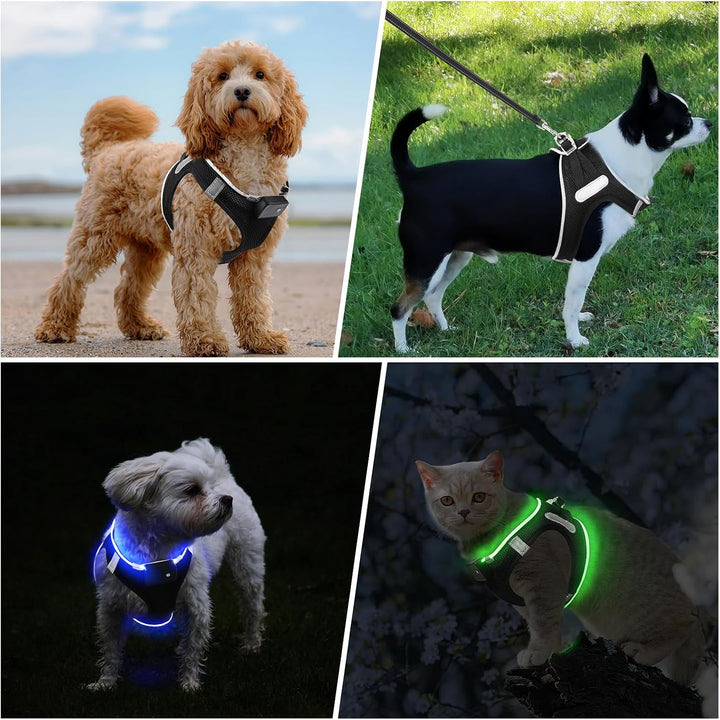 PcEoTllar Hundegeschirr Leuchtend USB Aufladbar Reflektierendes Leuchtgeschirr LED Leucht Brustgesch