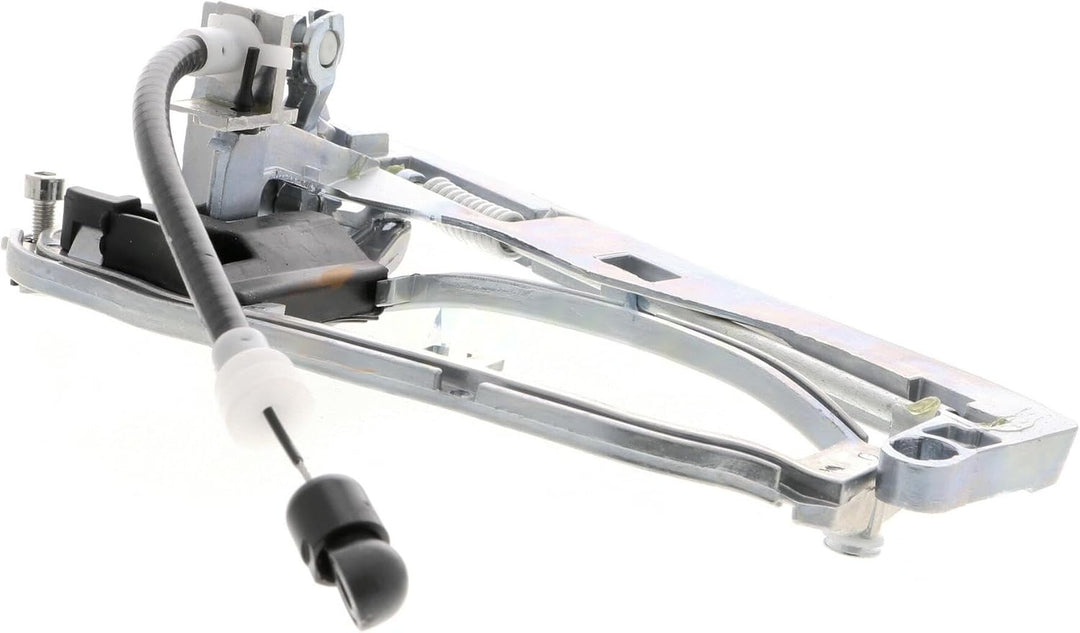 Türgriffrahmen hinten links passend für BMW X5 E53