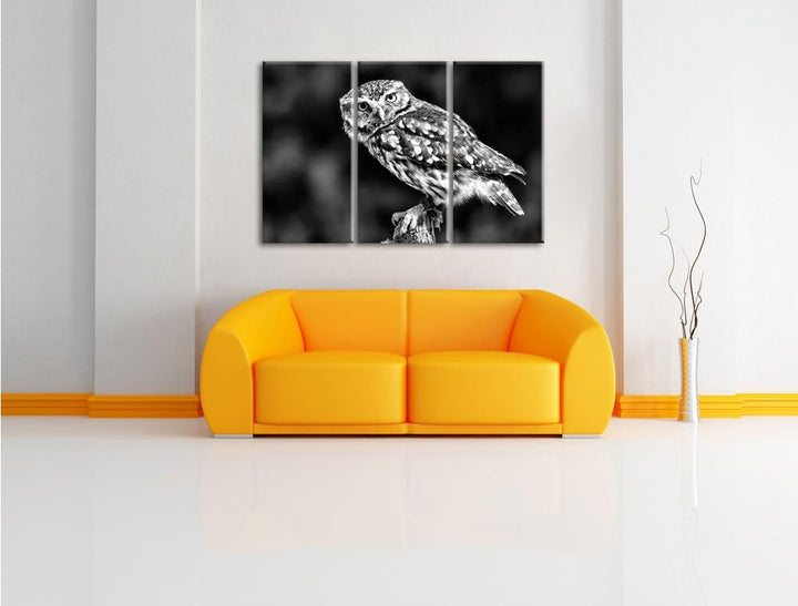 Pixxprint kleine Eule als Leinwandbild/Grösse: 3 Teilig (120x80) cm/Wandbild/Kunstdruck/fertig bespa