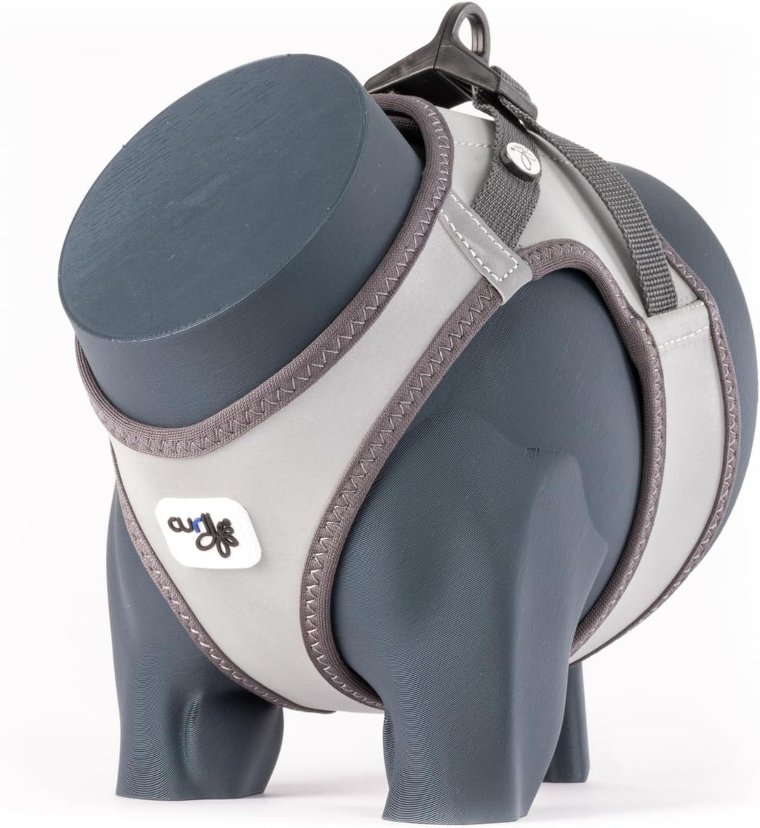 Glow curli Clasp Vest Harness Reflective Gray S, S