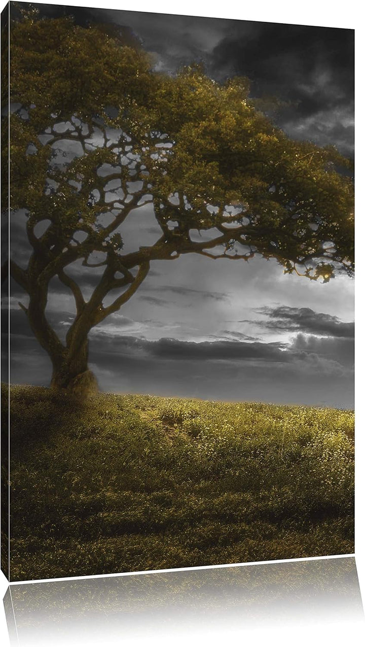 Pixxprint Alleinstehender Baum schwarz/weiss als Leinwandbild/Grösse: 100x70 cm/Wandbild/Kunstdruck/