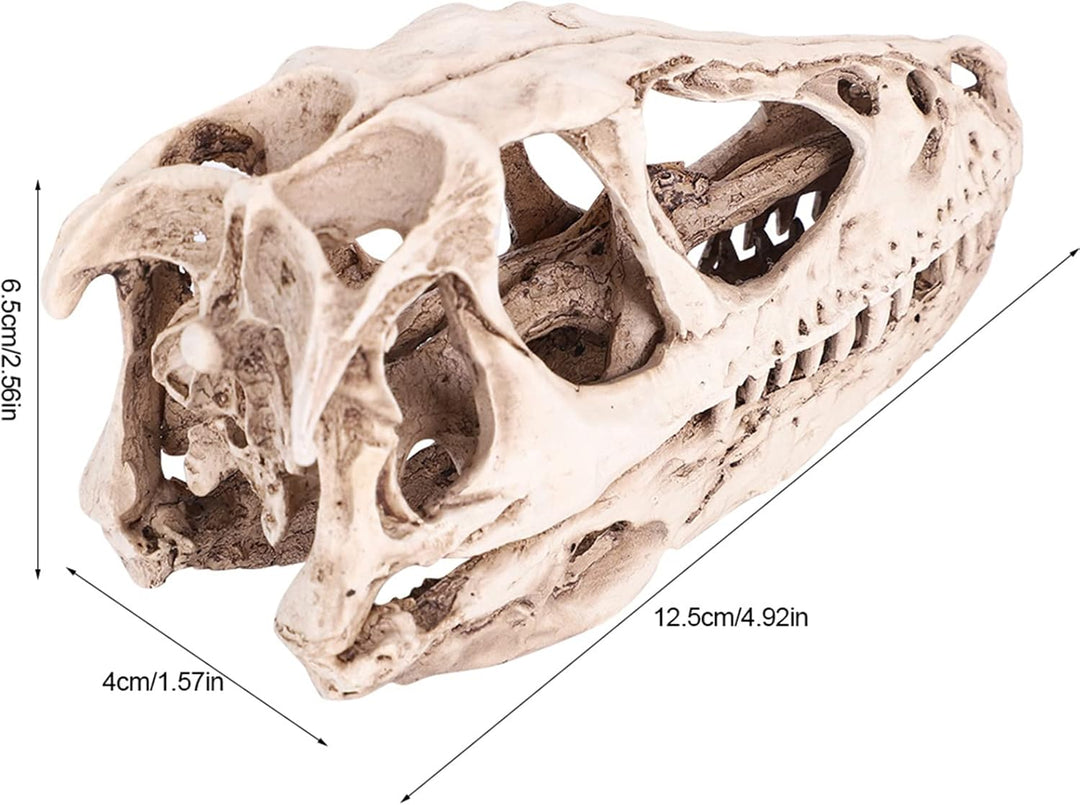 BRRNOO Dinosaurier-Knochen, Dinosaurier-Fossilien, Dinosaurier-Skelette, Modell, Simuliertes Tierske
