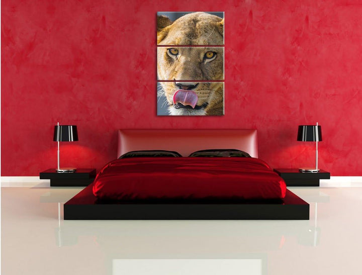 Pixxprint anmutige Löwin 3-Teiler Leinwandbild 120x80 Bild auf Leinwand