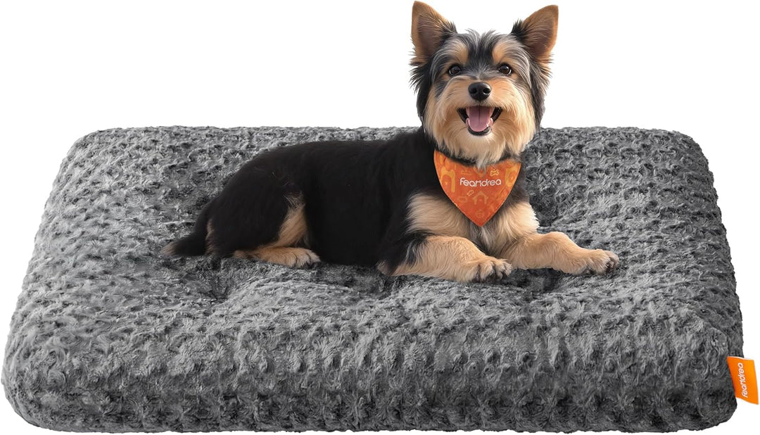 Feandrea Hundebett, Hundekissen M, für kleine Hunde, Flauschige Hundematte, Plüsch, 80 x 50 cm, weic