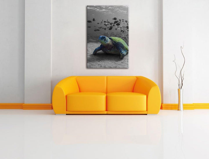 Pixxprint Schildkröte im Ozean schwarz/weiss als Leinwandbild/Grösse: 100x70 / Wandbild/Kunstdruck/f