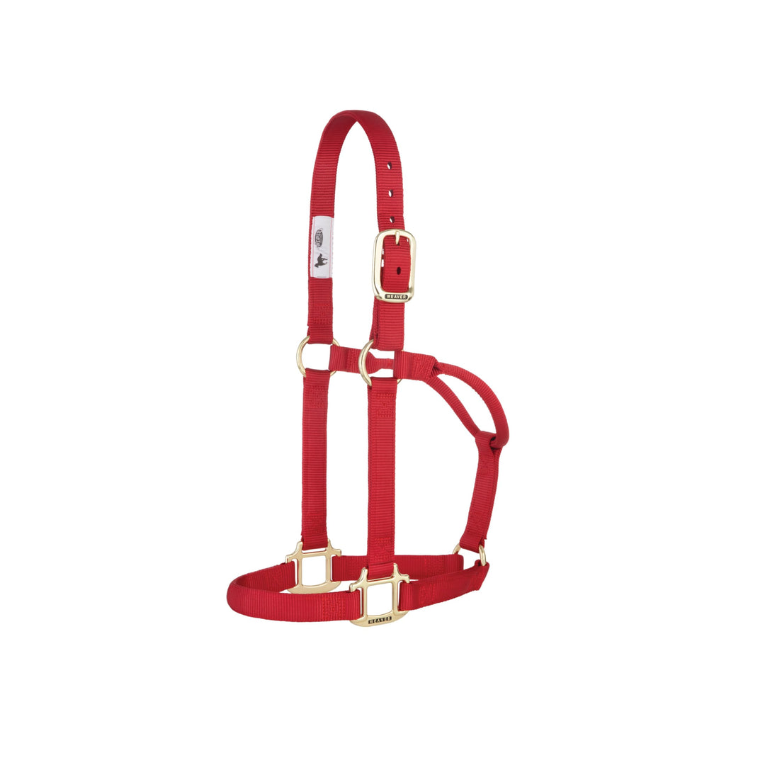 WEAVER Leather, Nicht verstellbares Halfter Rot/Ausflug, einfarbig (Getaway Solids) Average Horse, R