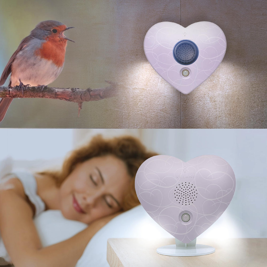 Zwitscher Naturgeräusche Box mit Bewegungsmelder - 18 brillante Klänge, Timer 2–120 Min. für Entspan