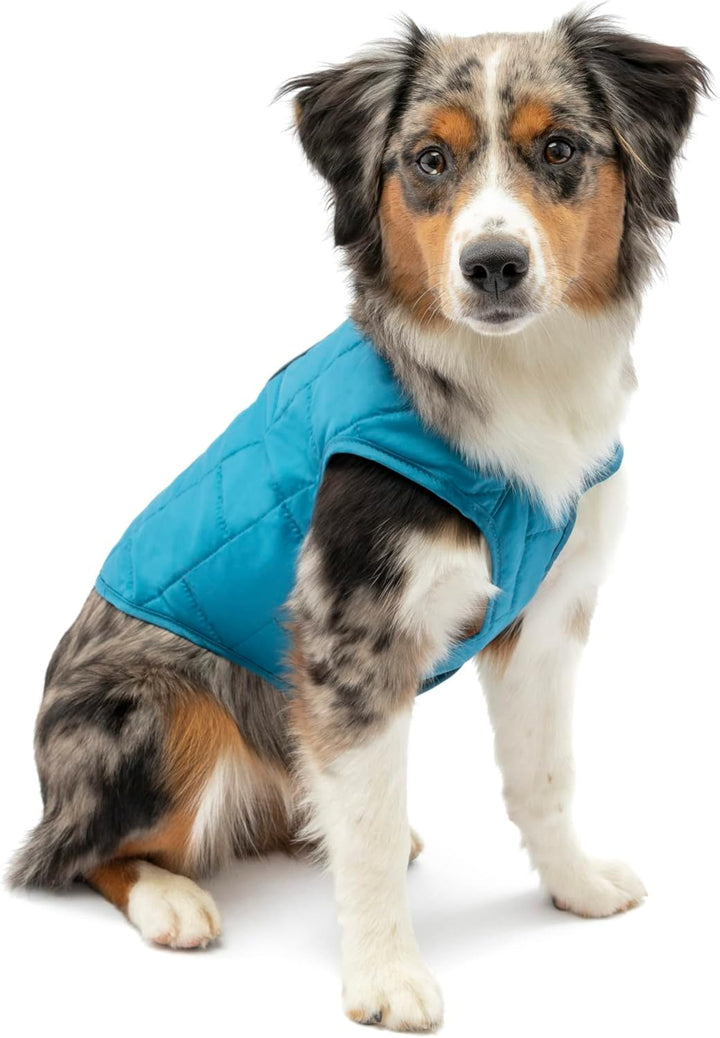 Kurgo Loft Hundejacke, Mit Hundegeschirr kombinierbar, Wasserdicht und reflektierend, Ideal für den