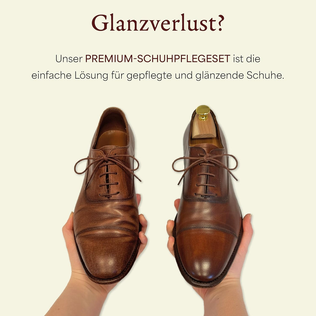 Langer &amp; Messmer Schuhpflegeset inkl. hochwertigen Lederpflegecremes und Rosshaarbürsten zur effekti