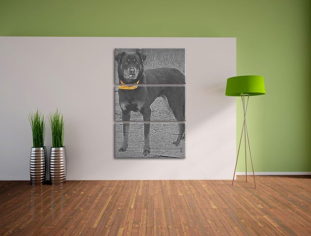 prächtiger grosser Rottweiler schwarz/weiss Deluxe 3-Teiler Leinwandbild 120x80 Bild auf Leinwand, X