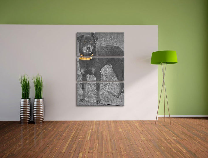 prächtiger grosser Rottweiler schwarz/weiss Deluxe 3-Teiler Leinwandbild 120x80 Bild auf Leinwand, X