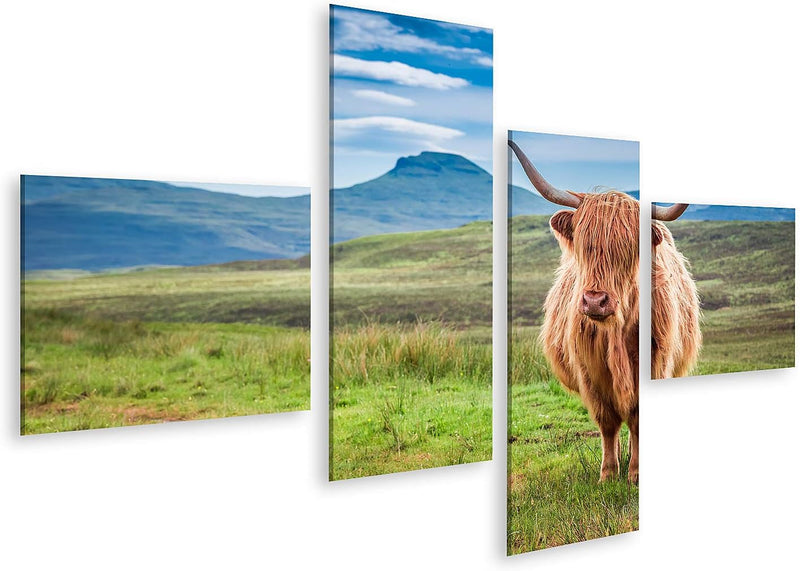 islandburner Bild auf Leinwand Weidende Hochlandkuh Auf Der Isle of Skye Schottland Bilder Wandbilde