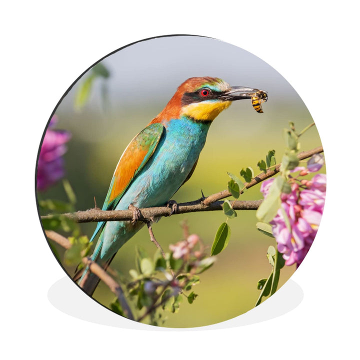 MuchoWow Wandbild Rund Wanddeko Deko Wohnzimmer Bilder 60x60 cm Vogel - Bienenfresser - Blumen, 60x6