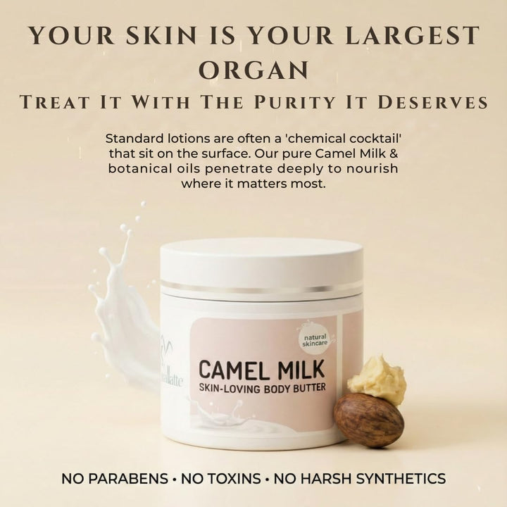 Cammellatte Kamelmilch Körperbutter mit Sheabutter - intensiv pflegende Bodylotion für trockene Haut