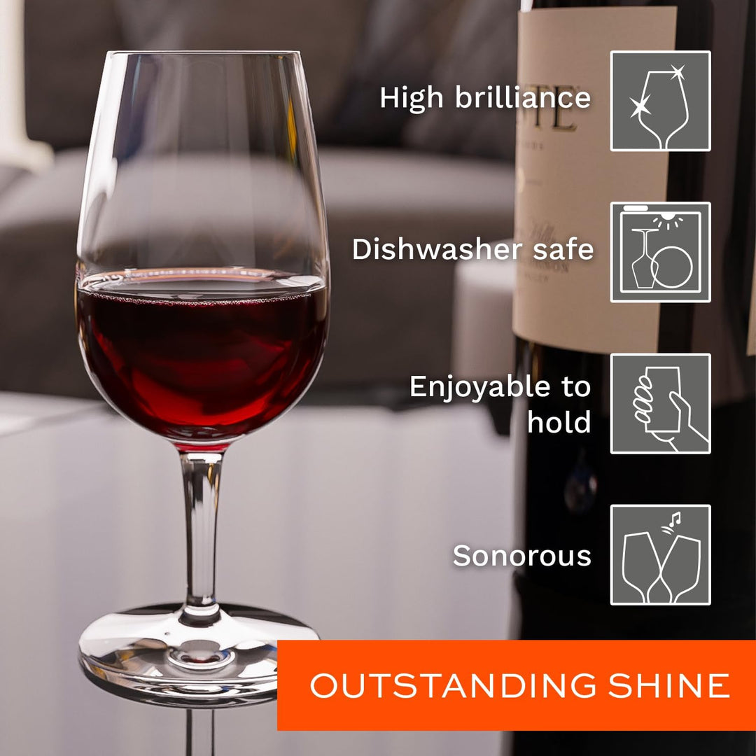 Stölzle Lausitz I.N.A.O. Tasting Gläser/Weingläser 6er Set/Weingläser Kristallglas/Kelch Weinglas/ho