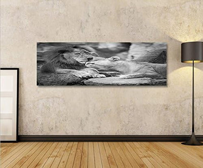 islandburner Bild Bilder auf Leinwand Löwen Paar SW Schwarz Weiss Panorama XXL Poster Leinwandbild W