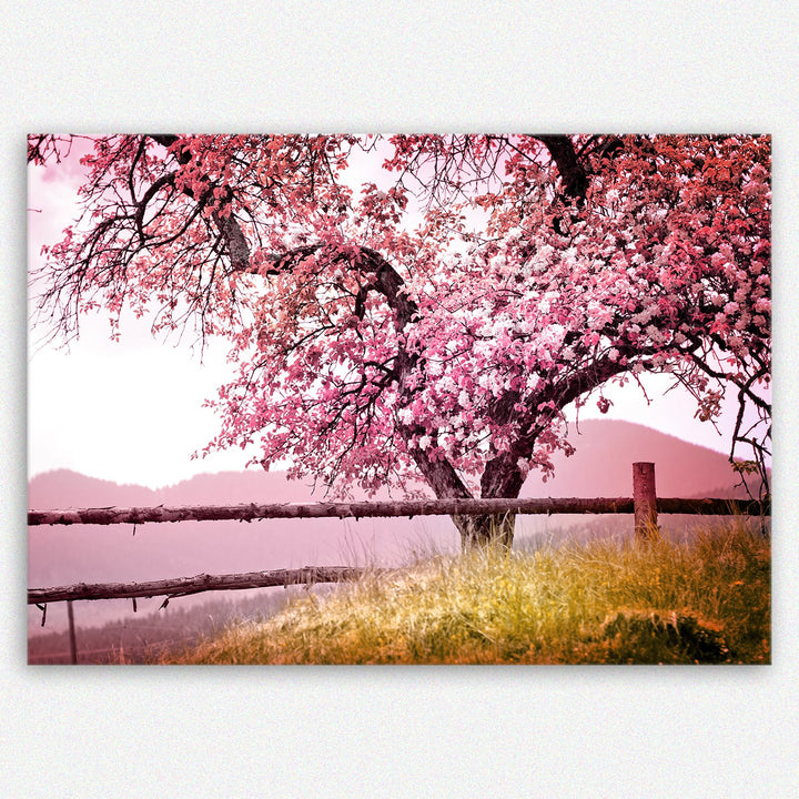ge Bildet Bild auf Leinwand | Frühlingsbaum - Natur Baum Rosa Pink A in 70x50 cm als Wandbild | Wand