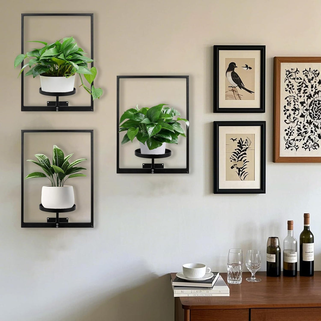 DETENE 3 Stücke Metall Pflanzregal Schwarz Hängende Blumentöpfe Wandbehang Regal Wand für Blumen Pfl