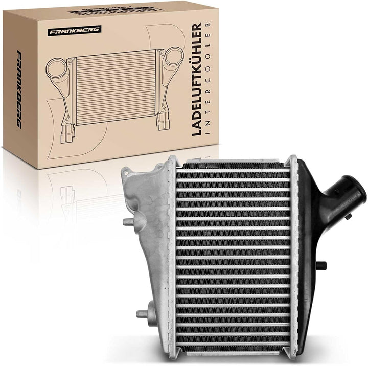 Frankberg Ladeluftkühler Turbokühler Kompatibel mit CR-V III RE 2.2L Diesel 2007-2011 Replace# 19710