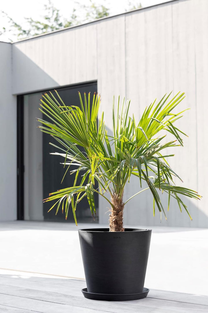 ECOPOTS Blumentopf Amsterdam Dunkel Grau - Durchmesser Ø 50 cm rund gross - Pflanzentopf aus Recycli