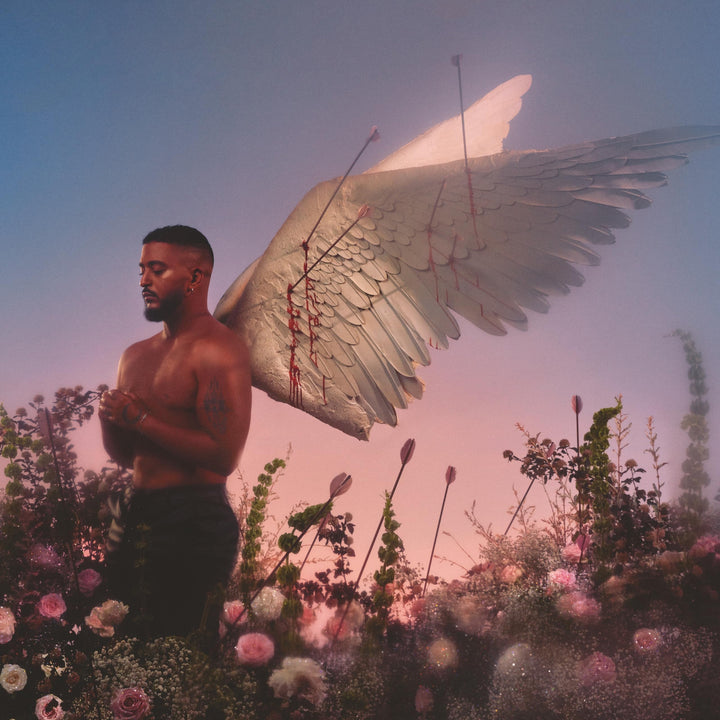 Chroniques d'un Cupidon, Vinyl