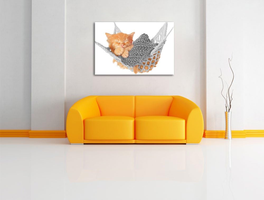 Pixxprint Katzenbaby in Hängematte als Leinwandbild/Grösse: 100x70 / Wandbild/Kunstdruck/fertig besp