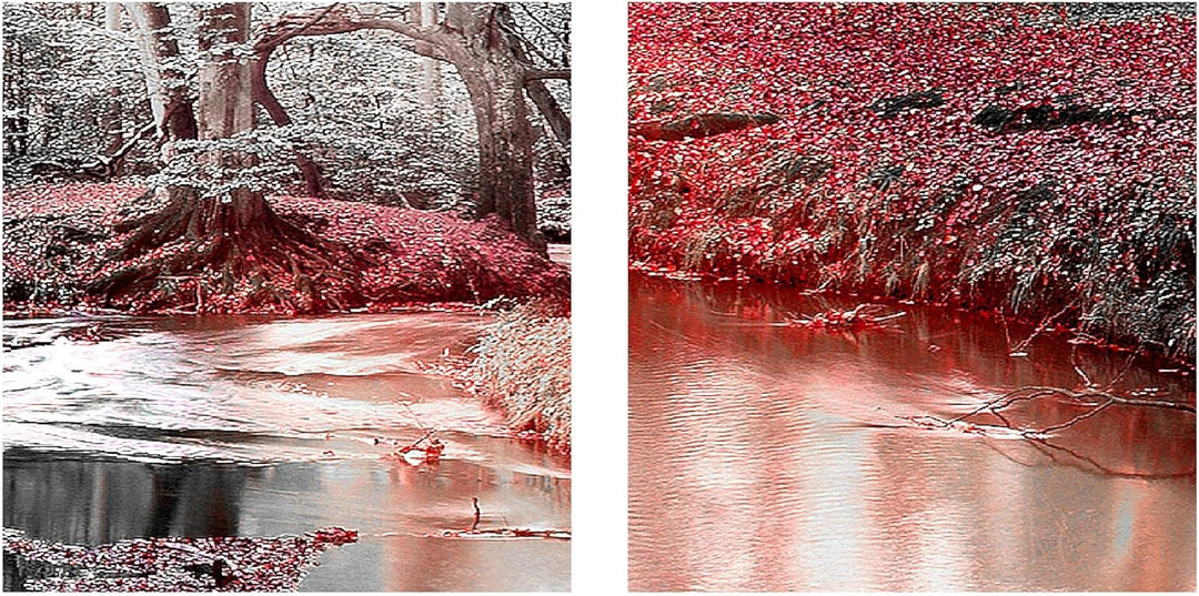 Runa Art Wandbild XXL Wald Landschaft Schlafzimmer Wohnzimmer 200 x 80 cm Rot 5 Teilig - Made in Ger
