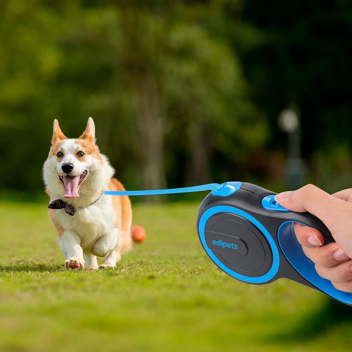 Edipets, Hundeleine, Ausziehbar, Einziehbar, 3, 5 und 8 Meter, Flexibles Band für Rechts- und Spazie