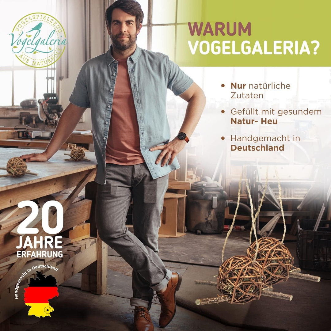 Vogelgaleria® 2er Set prall mit Heu gefüllte Weidenkugel 10cm zum knabbern und Klettern für Vögel |