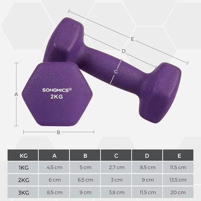 SONGMICS Kurzhantel Set, Hexagon, mit Hantelständer, 2 x 1 kg, 2 x 1,5 kg, 2 x 2 kg, mattes Finish,