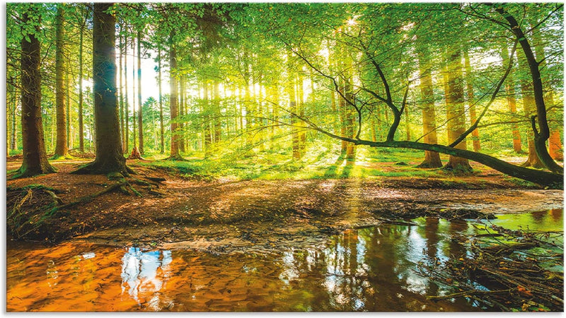 ARTland Spritzschutz Küche aus Alu für Herd Spüle 90x50 cm (BxH) Küchenrückwand mit Motiv Natur Land