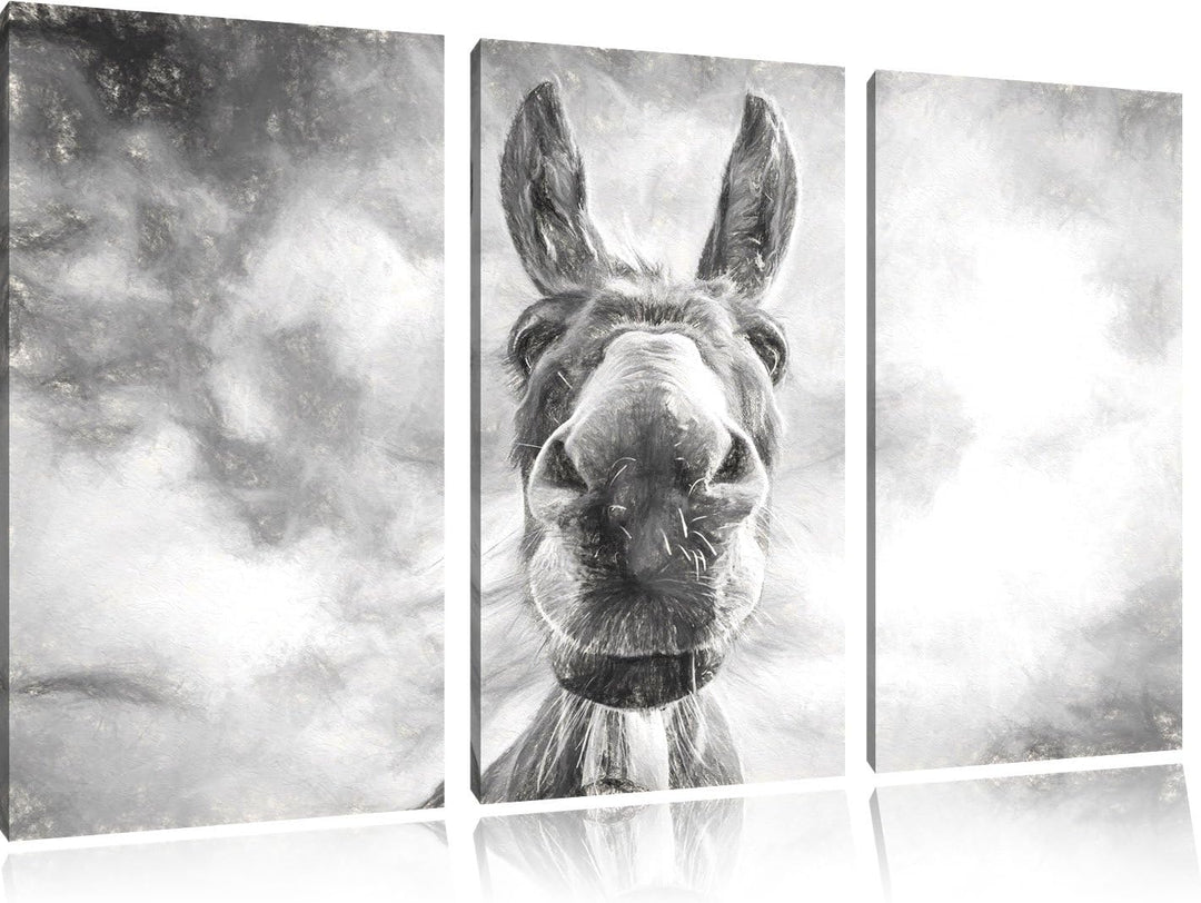 Pixxprint Lustiger Esel Kunst als Leinwandbild | Grösse: 3 Teilig (120x80) | Wandbild| Kunstdruck |
