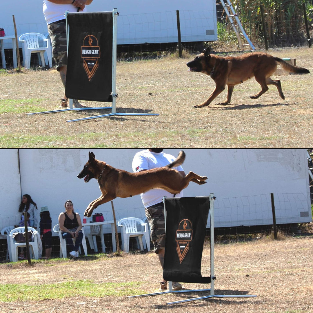 Dingo Gear Sprunghürde für das Hundetraining Höhenverstellung auf 1 Meter, Breite 1 Meter, Hindernis
