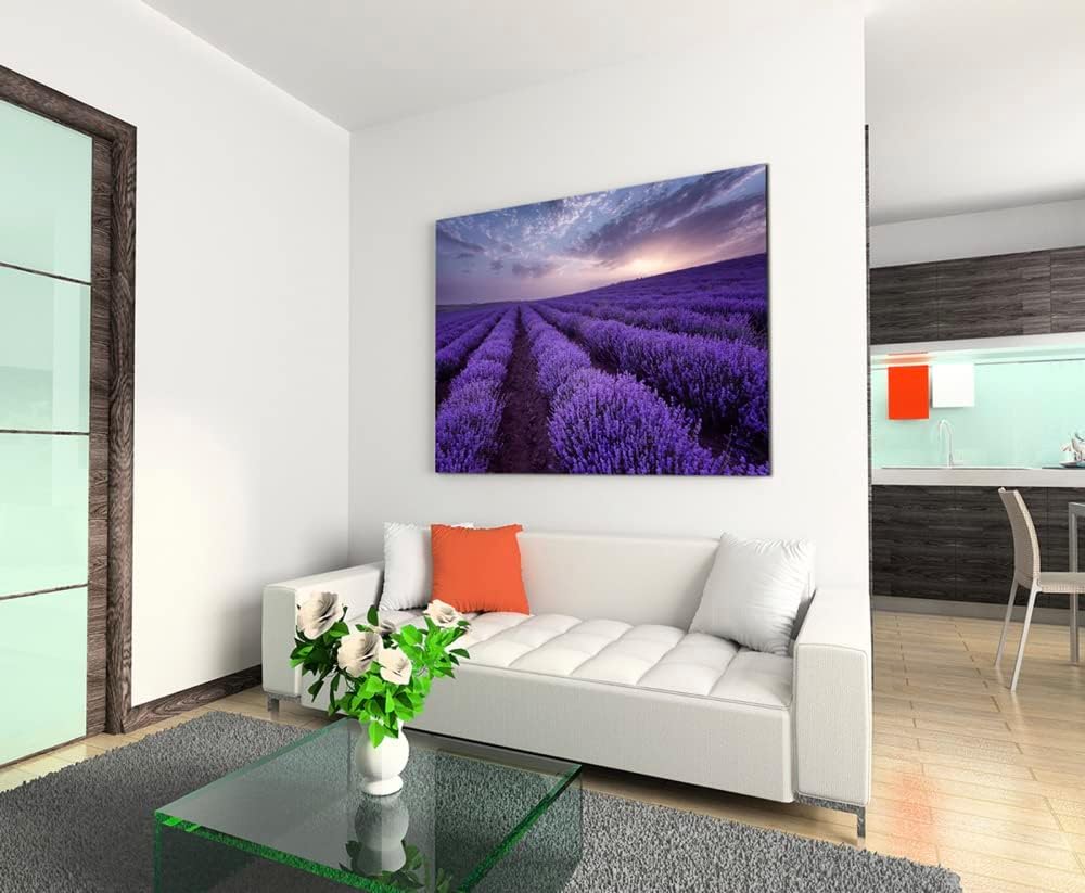 Sinus Art Landschaftsfotografie Lavendelfelder bei Sonnenaufgang auf Leinwand Exklusives Wandbild Mo