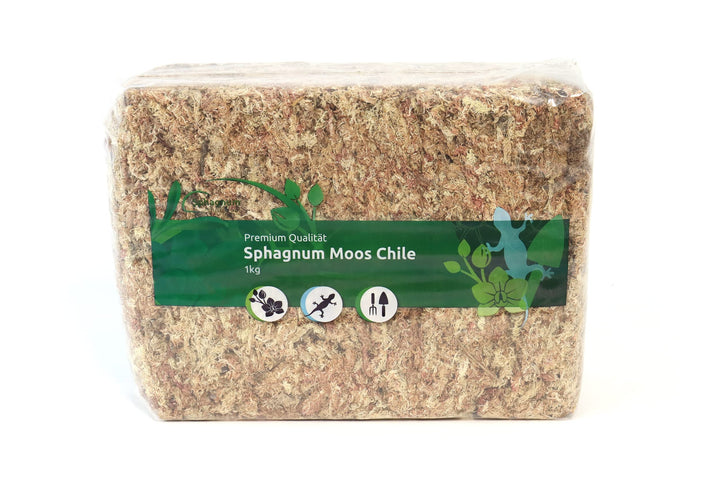 Sphagnum Moos für Terrarium und Orchideen aus Chile 1 x 1000 g 1x1000gr, 1x1000gr