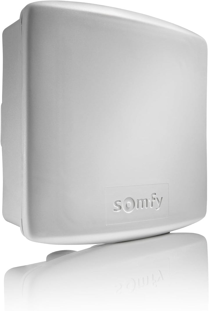 Somfy 2400556 - Universal-Aussentor/Garagentor-Empfänger | RTS-Technologie Grau, Grau