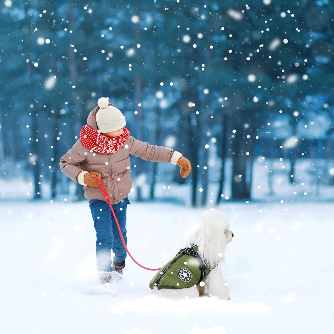 Hundemantel Winter, Wärme Hundejacke Mit Brustgurt Gurt Winddichte mit bauchschutz, Haustier Outdoor