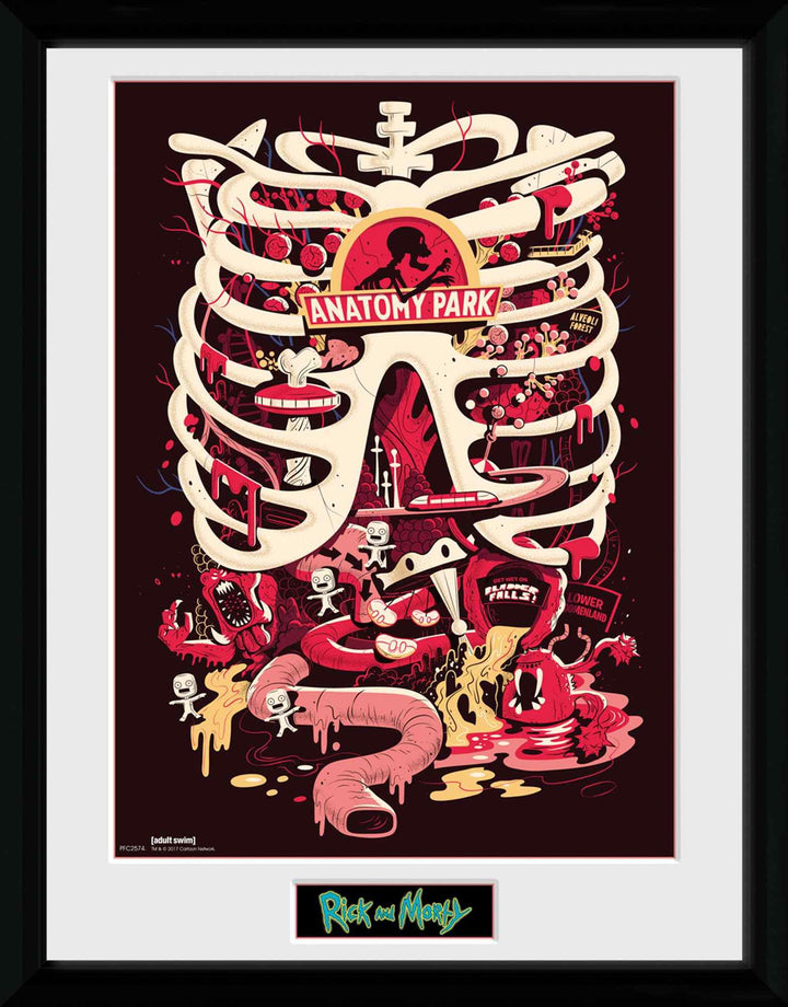 GB Eye Rick und Morty, Anatomie Park Poster, gerahmt, 30 x 40 cm, Verschiedene
