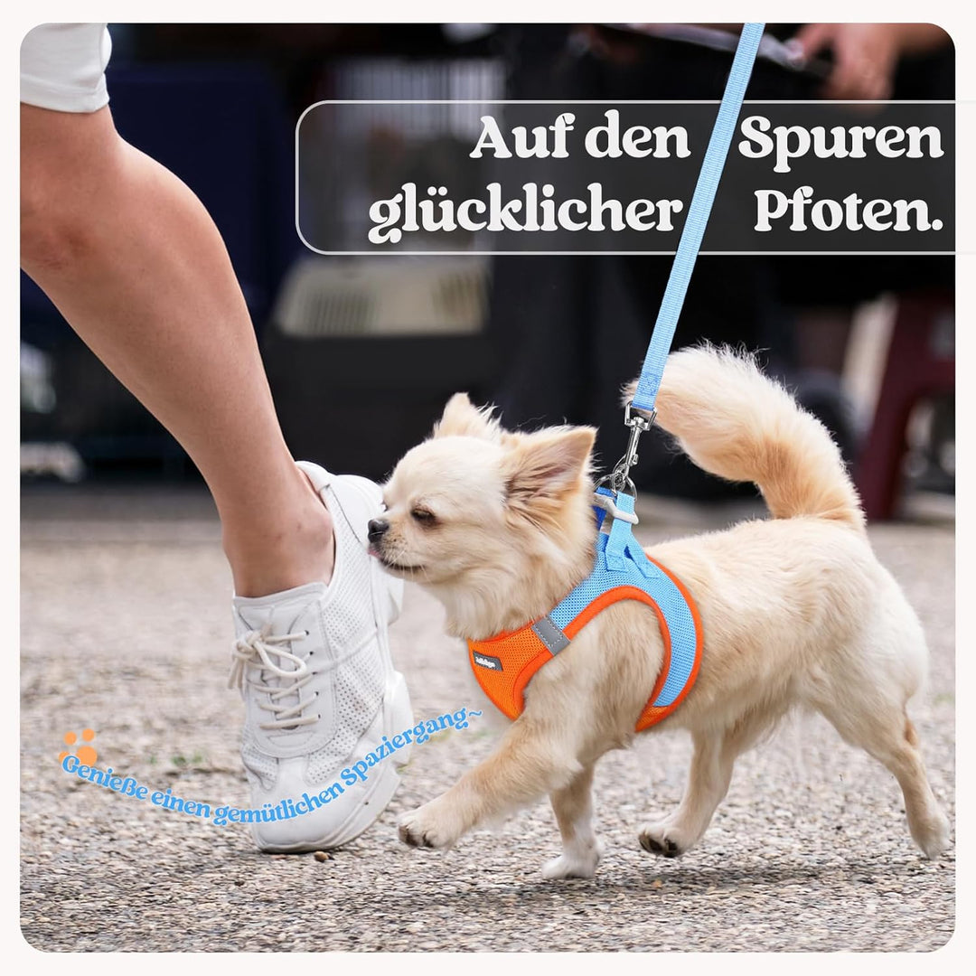 rabbitgoo Hundegeschirr Kleine Hunde mit Leine, Step-in Welpengeschirr Weich Mesh für Spaziergänge,
