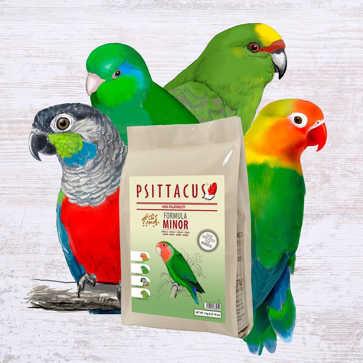 Psittacus - Lovebird Minor 3 kg
