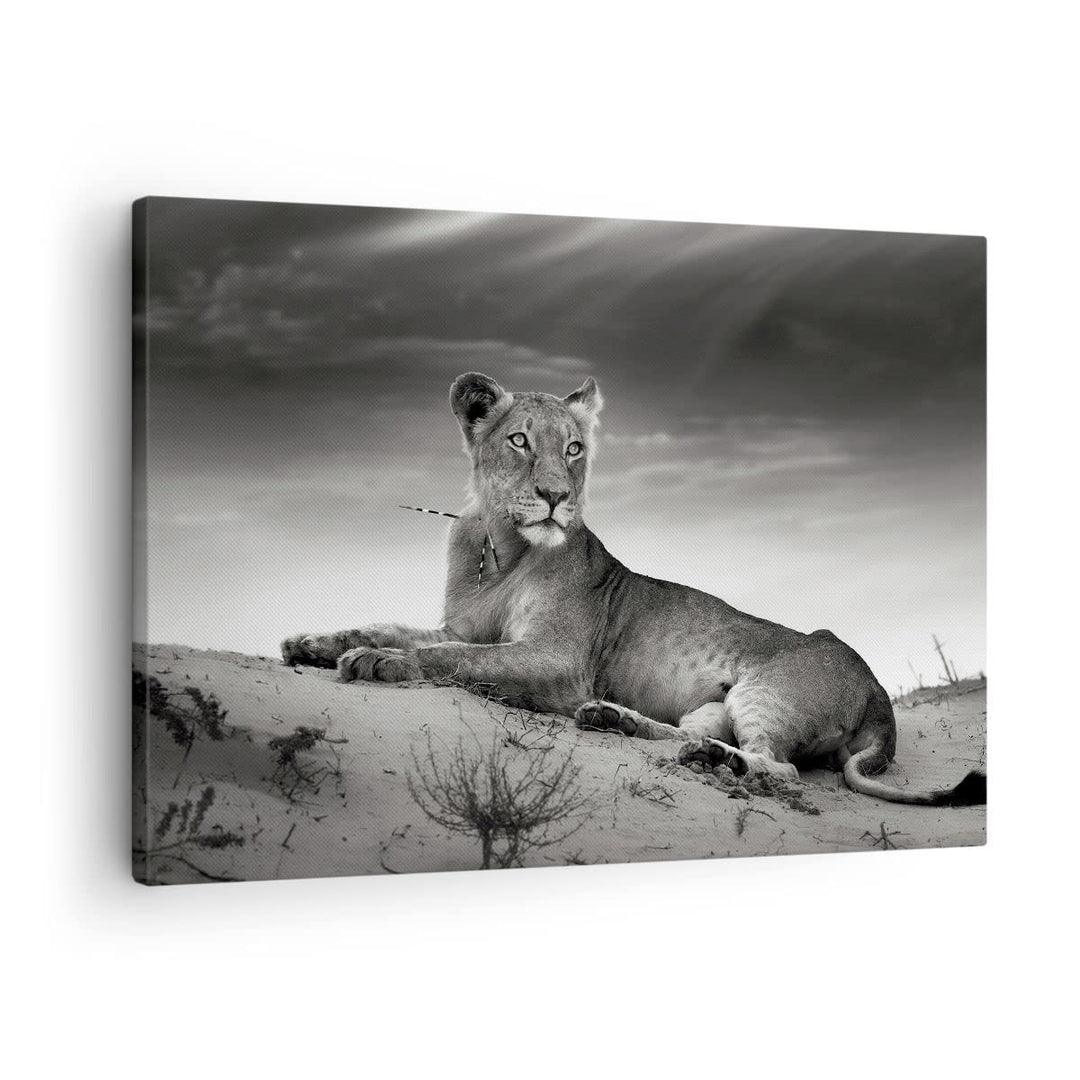 Bilder auf Leinwand Tierwelt weiblich katze Tier Leinwandbild 70x50cm Wandbilder Dekoration Wohnzimm