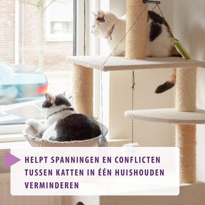 Feliway Friends – Anti Conflict voor Kat - Verdamper+ Navulling 48 ml