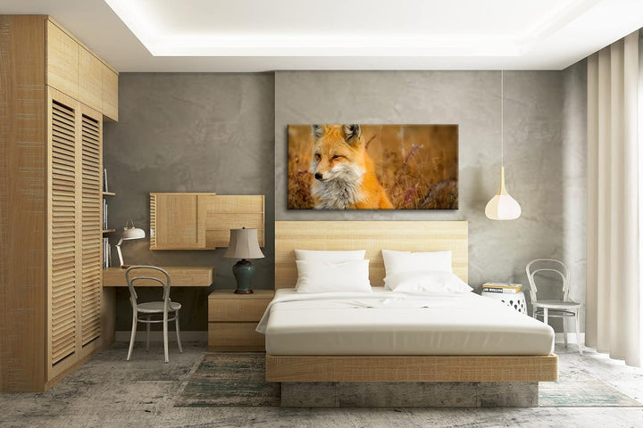 majestätischer Fuchs Panorama 80x40 cm als Leinwandbild, Motiv fertig gerahmt auf Echtholzrahmen, Ho