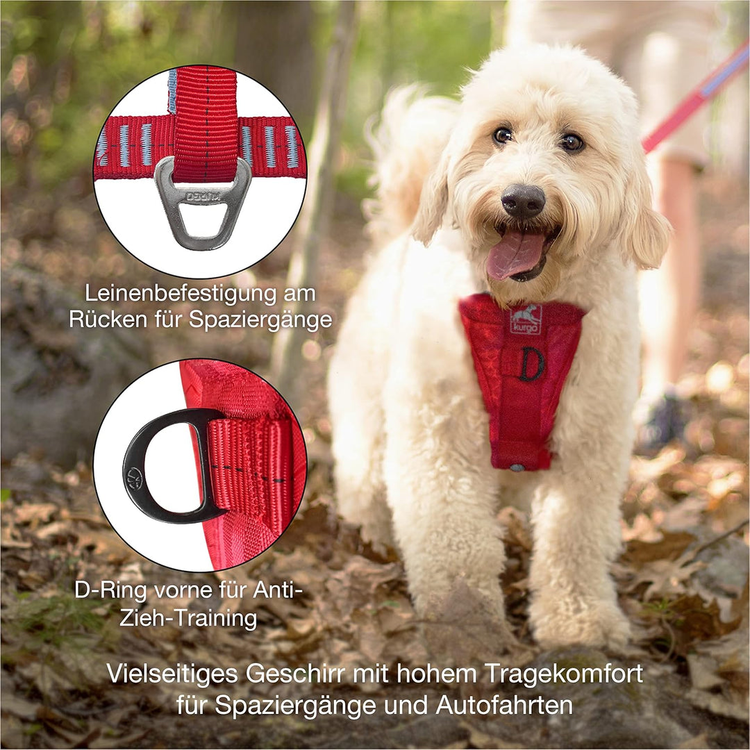 Kurgo Tru-Fit Autosicherheitsgeschirr für Hunde, Mit gepolstertem Brustteil und D-Ring, Mit Autogurt