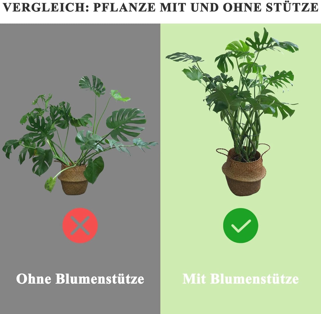 Pflanzenstütze 3-in-1 Pflanzenhalter Aus Metall Mit Zubehör Pulverbeschichtet Rostfrei Für Hortensie