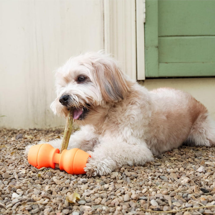 PetClan Chewise Bully Stick Halter – Sicherheit & Robustes Design, BPA-frei, Sicherer Ochsenziemer-H