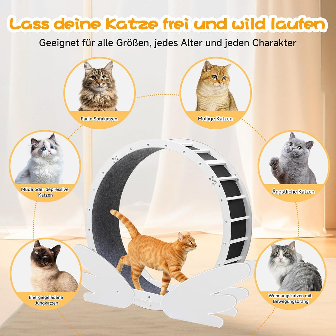 GTPLAYER Katzenlaufrad, laufrad Katze, Extra grosser 100 cm, ultraleises Laufrad mit Abnehmbarer Tep