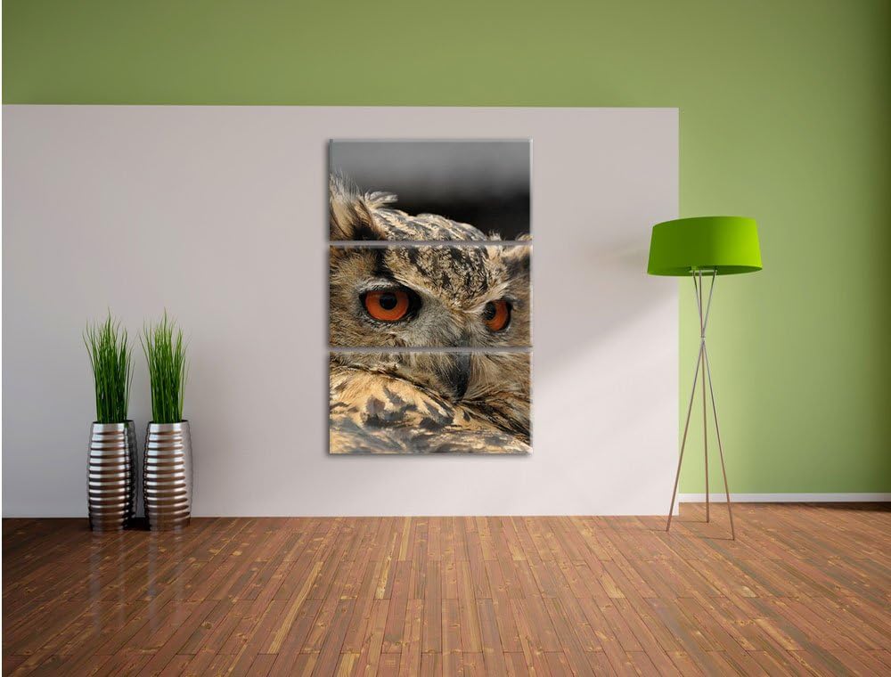 Pixxprint prächtige Waldohreule als Leinwandbild/Grösse: 3 Teilig (120x80) / Wandbild/Kunstdruck/fer